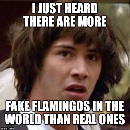 Conspiracy Keanu Meme | I JUST HEARD THERE ARE MORE; FAKE FLAMINGOS IN THE WORLD THAN REAL ONES | image tagged in memes,conspiracy keanu | made w/ Imgflip meme maker