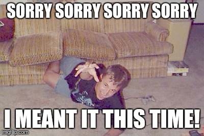 SORRY SORRY SORRY SORRY I MEANT IT THIS TIME! | made w/ Imgflip meme maker