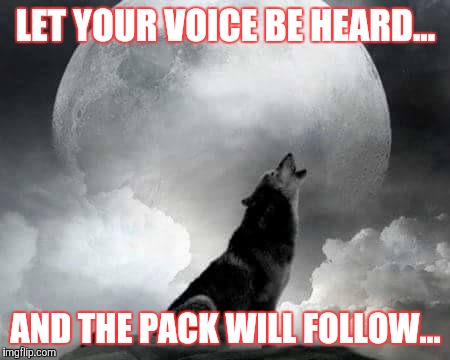 LET YOUR VOICE BE HEARD... AND THE PACK WILL FOLLOW... | image tagged in white wolf howling | made w/ Imgflip meme maker