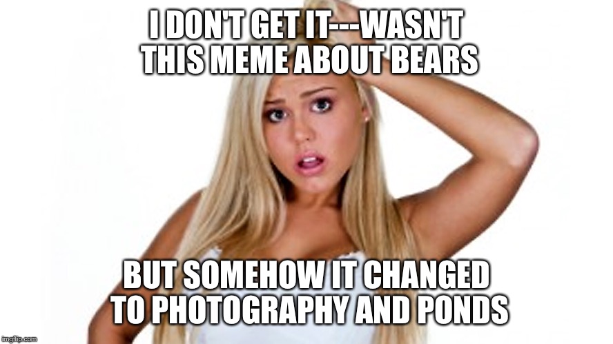 I DON'T GET IT---WASN'T THIS MEME ABOUT BEARS BUT SOMEHOW IT CHANGED TO PHOTOGRAPHY AND PONDS | made w/ Imgflip meme maker