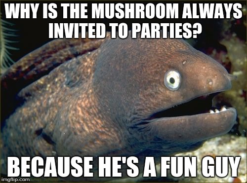 Bad Joke Eel | WHY IS THE MUSHROOM ALWAYS INVITED TO PARTIES? BECAUSE HE'S A FUN GUY | image tagged in memes,bad joke eel | made w/ Imgflip meme maker