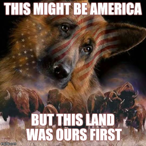 THIS MIGHT BE AMERICA; BUT THIS LAND WAS OURS FIRST | image tagged in sad patriotic wolf | made w/ Imgflip meme maker