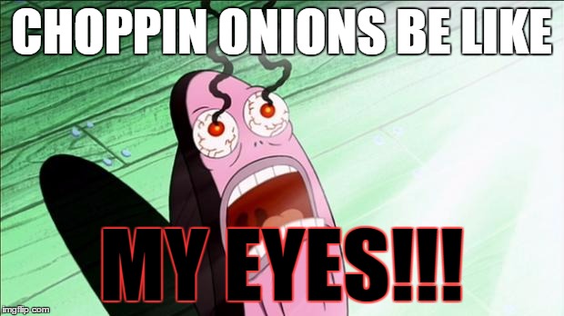 the pain is real | CHOPPIN ONIONS BE LIKE; MY EYES!!! | image tagged in spongebob my eyes | made w/ Imgflip meme maker