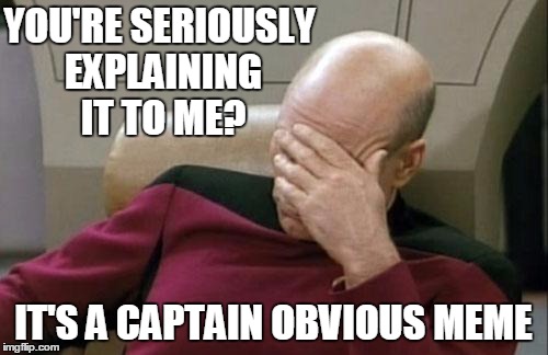 Captain Picard Facepalm Meme | YOU'RE SERIOUSLY EXPLAINING IT TO ME? IT'S A CAPTAIN OBVIOUS MEME | image tagged in memes,captain picard facepalm | made w/ Imgflip meme maker