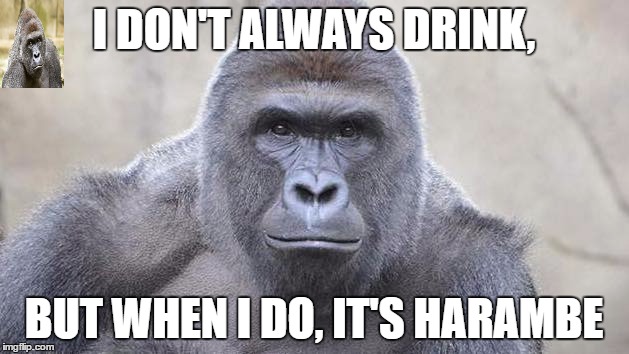 Harambe | I DON'T ALWAYS DRINK, BUT WHEN I DO, IT'S HARAMBE | image tagged in harambe | made w/ Imgflip meme maker