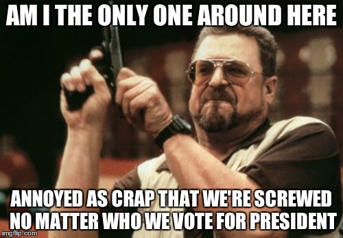 Am I The Only One Around Here Meme | AM I THE ONLY ONE AROUND HERE; ANNOYED AS CRAP THAT WE'RE SCREWED NO MATTER WHO WE VOTE FOR PRESIDENT | image tagged in memes,am i the only one around here | made w/ Imgflip meme maker