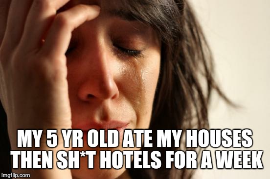 First World Problems Meme | MY 5 YR OLD ATE MY HOUSES THEN SH*T HOTELS FOR A WEEK | image tagged in memes,first world problems | made w/ Imgflip meme maker