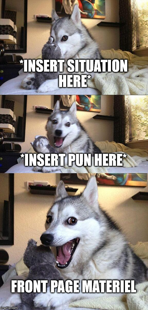 Bad Pun Dog Meme | *INSERT SITUATION HERE*; *INSERT PUN HERE*; FRONT PAGE MATERIEL | image tagged in memes,bad pun dog | made w/ Imgflip meme maker