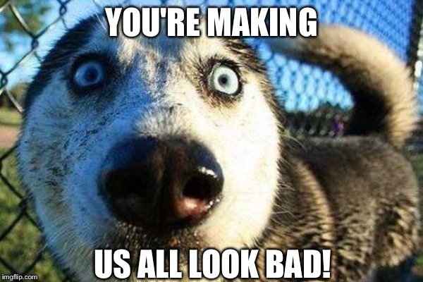 YOU'RE MAKING US ALL LOOK BAD! | made w/ Imgflip meme maker