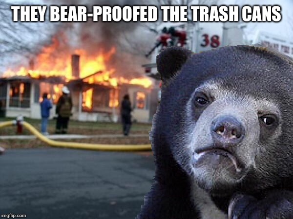 They can take our freedom but they can never take our trash cans! | THEY BEAR-PROOFED THE TRASH CANS | image tagged in memes,confession bear,new template,made it,myself,funny | made w/ Imgflip meme maker