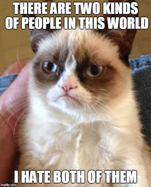 Grumpy Cat |  THERE ARE TWO KINDS OF PEOPLE IN THIS WORLD; I HATE BOTH OF THEM | image tagged in memes,grumpy cat | made w/ Imgflip meme maker