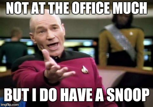 Picard Wtf Meme | NOT AT THE OFFICE MUCH BUT I DO HAVE A SNOOP | image tagged in memes,picard wtf | made w/ Imgflip meme maker