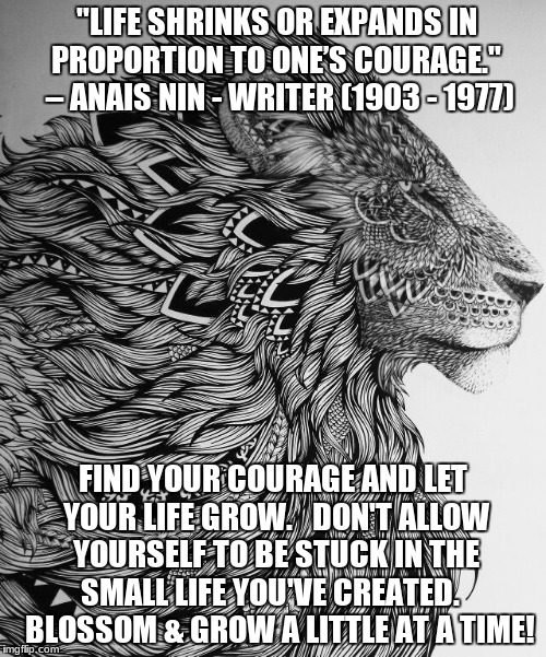 Courage | "LIFE SHRINKS OR EXPANDS IN PROPORTION TO ONE’S COURAGE."  – ANAIS NIN - WRITER (1903 - 1977); FIND YOUR COURAGE AND LET YOUR LIFE GROW.   DON'T ALLOW YOURSELF TO BE STUCK IN THE SMALL LIFE YOU'VE CREATED.    BLOSSOM & GROW A LITTLE AT A TIME! | image tagged in strengths,memes | made w/ Imgflip meme maker