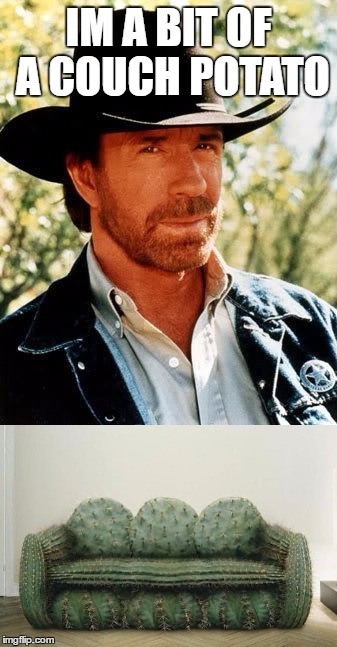 he must have buns of steel | IM A BIT OF A COUCH POTATO | image tagged in chuck norris,cactus couch,memes,funny,lol | made w/ Imgflip meme maker