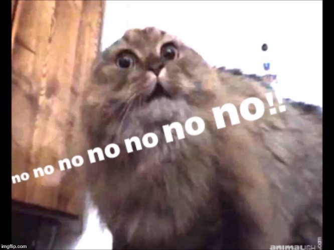. | made w/ Imgflip meme maker