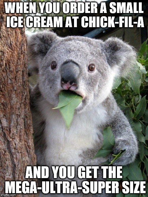 Surprised Koala Meme | WHEN YOU ORDER A SMALL ICE CREAM AT CHICK-FIL-A; AND YOU GET THE MEGA-ULTRA-SUPER SIZE | image tagged in memes,surprised coala,inferno390,chick-fil-a | made w/ Imgflip meme maker