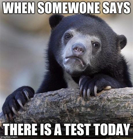 Confession Bear Meme | WHEN SOMEWONE SAYS; THERE IS A TEST TODAY | image tagged in memes,confession bear | made w/ Imgflip meme maker