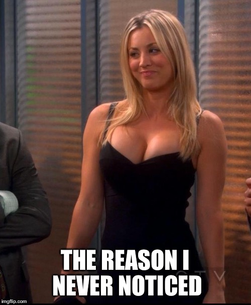 Penny - LBD | THE REASON I NEVER NOTICED | image tagged in penny - lbd | made w/ Imgflip meme maker