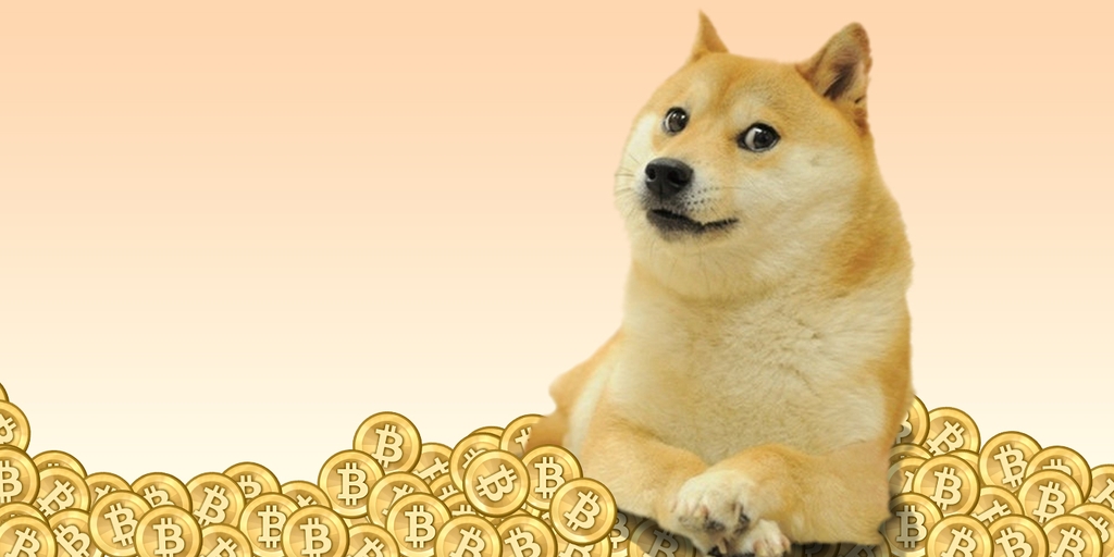 High Quality Doge Coin Blank Meme Template