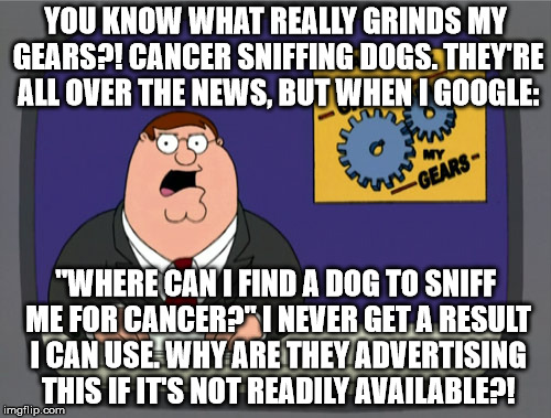 Peter Griffin News | YOU KNOW WHAT REALLY GRINDS MY GEARS?! CANCER SNIFFING DOGS. THEY'RE ALL OVER THE NEWS, BUT WHEN I GOOGLE:; "WHERE CAN I FIND A DOG TO SNIFF ME FOR CANCER?" I NEVER GET A RESULT I CAN USE. WHY ARE THEY ADVERTISING THIS IF IT'S NOT READILY AVAILABLE?! | image tagged in memes,peter griffin news | made w/ Imgflip meme maker