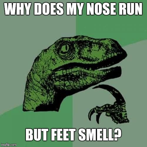 Philosoraptor | WHY DOES MY NOSE RUN; BUT FEET SMELL? | image tagged in memes,philosoraptor | made w/ Imgflip meme maker