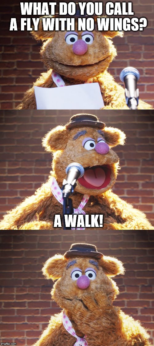 Fozzie Jokes | WHAT DO YOU CALL A FLY WITH NO WINGS? A WALK! | image tagged in fozzie jokes,memes,inferno390 | made w/ Imgflip meme maker