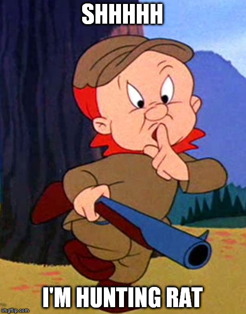 SHHHHH I'M HUNTING RAT | made w/ Imgflip meme maker