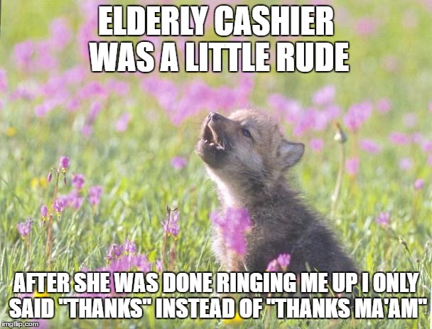 Baby Insanity Wolf Meme | ELDERLY CASHIER WAS A LITTLE RUDE; AFTER SHE WAS DONE RINGING ME UP I ONLY SAID "THANKS" INSTEAD OF "THANKS MA'AM" | image tagged in memes,baby insanity wolf,AdviceAnimals | made w/ Imgflip meme maker