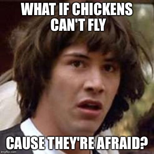 Conspiracy Keanu | WHAT IF CHICKENS CAN'T FLY; CAUSE THEY'RE AFRAID? | image tagged in memes,conspiracy keanu | made w/ Imgflip meme maker