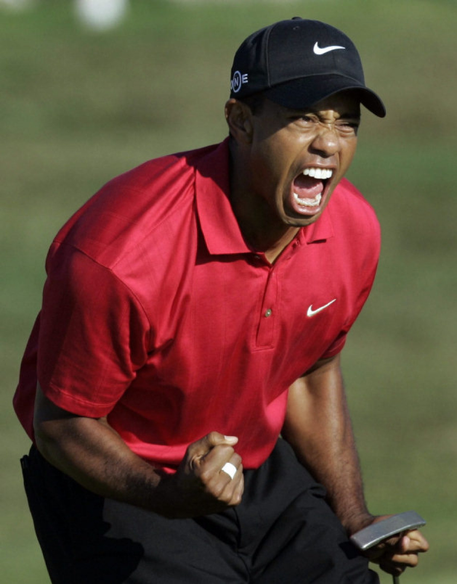 tiger woods Blank Template Imgflip