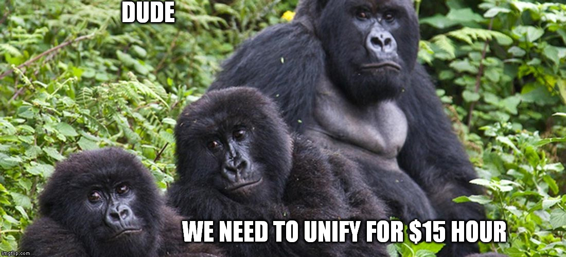 DUDE WE NEED TO UNIFY FOR $15 HOUR | made w/ Imgflip meme maker