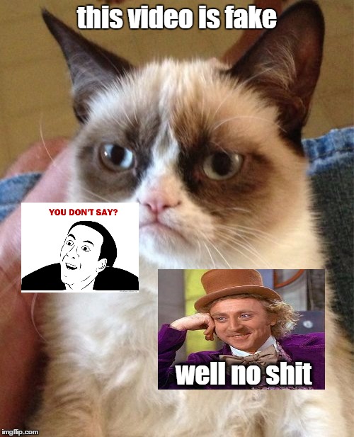 Grumpy Cat | this video is fake; well no shit | image tagged in memes,grumpy cat | made w/ Imgflip meme maker
