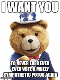 Ted uncle sam | I WANT YOU; TO NEVER EVER EVER EVER VOTE A MUZZY SYMPATHETIC POTUS AGAIN | image tagged in ted uncle sam | made w/ Imgflip meme maker