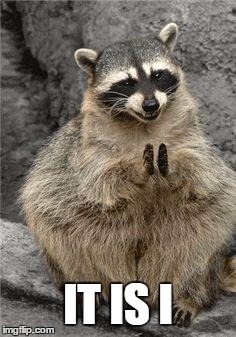 racoon | IT IS I | image tagged in racoon | made w/ Imgflip meme maker