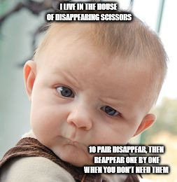 Skeptical Baby Meme | I LIVE IN THE HOUSE OF DISAPPEARING SCISSORS; 10 PAIR DISAPPEAR, THEN REAPPEAR ONE BY ONE WHEN YOU DON'T NEED THEM | image tagged in memes,skeptical baby | made w/ Imgflip meme maker