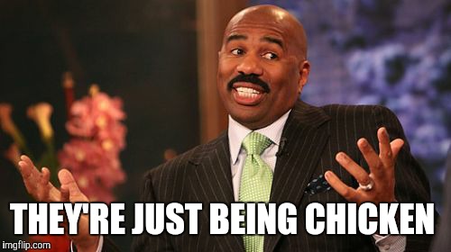 Steve Harvey Meme | THEY'RE JUST BEING CHICKEN | image tagged in memes,steve harvey | made w/ Imgflip meme maker