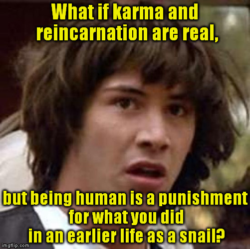 You can't prove it's not true! LOL | What if karma and reincarnation are real, but being human is a punishment for what you did in an earlier life as a snail? | image tagged in memes,conspiracy keanu,karma | made w/ Imgflip meme maker