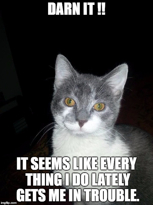 DARN IT !! IT SEEMS LIKE EVERY THING I DO LATELY GETS ME IN TROUBLE. | image tagged in mykamycat | made w/ Imgflip meme maker