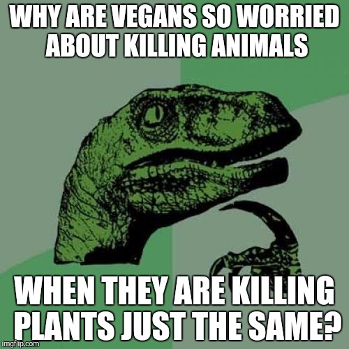 Philosoraptor Meme | WHY ARE VEGANS SO WORRIED ABOUT KILLING ANIMALS; WHEN THEY ARE KILLING PLANTS JUST THE SAME? | image tagged in memes,philosoraptor | made w/ Imgflip meme maker