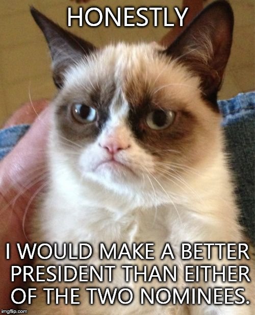 Grumpy Cat for President 2016 | HONESTLY; I WOULD MAKE A BETTER PRESIDENT THAN EITHER OF THE TWO NOMINEES. | image tagged in memes,grumpy cat | made w/ Imgflip meme maker