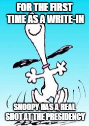 Snoopy dance | FOR THE FIRST TIME AS A WRITE-IN; SNOOPY HAS A REAL SHOT AT THE PRESIDENCY | image tagged in snoopy dance | made w/ Imgflip meme maker