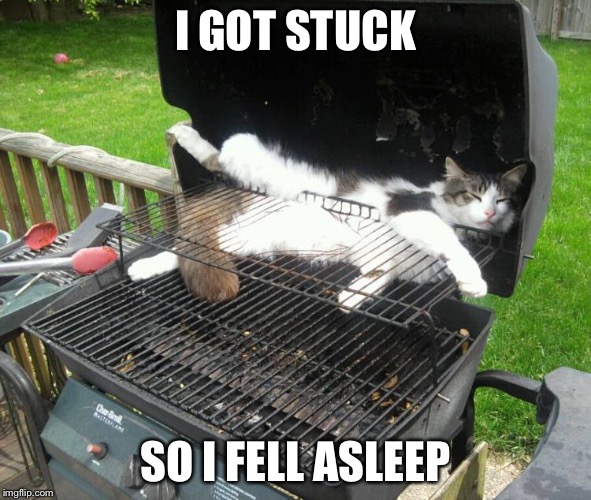 Grill cat. Saw this meme somewhere and couldn't stop laughing | I GOT STUCK; SO I FELL ASLEEP | image tagged in grill cat,grill | made w/ Imgflip meme maker