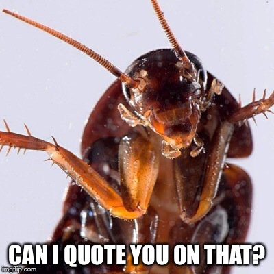 Roach | CAN I QUOTE YOU ON THAT? | image tagged in roach | made w/ Imgflip meme maker