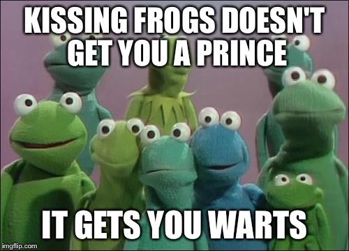 Muppet Frogs | KISSING FROGS DOESN'T GET YOU A PRINCE; IT GETS YOU WARTS | image tagged in muppet frogs | made w/ Imgflip meme maker