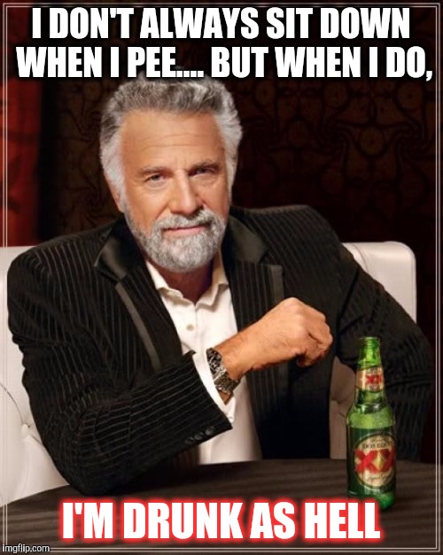 The Most Interesting Man In The World | I DON'T ALWAYS SIT DOWN WHEN I PEE.... BUT WHEN I DO, I'M DRUNK AS HELL | image tagged in memes,the most interesting man in the world | made w/ Imgflip meme maker