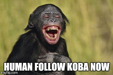 HUMAN FOLLOW KOBA NOW | made w/ Imgflip meme maker