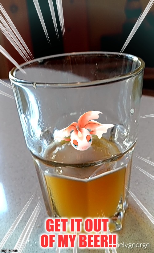 They are everywhere! | GET IT OUT OF MY BEER!! | image tagged in slowpoke,pokemon go | made w/ Imgflip meme maker