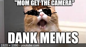 Dank Memes | "MOM GET THE CAMERA"; DANK MEMES | image tagged in memes | made w/ Imgflip meme maker