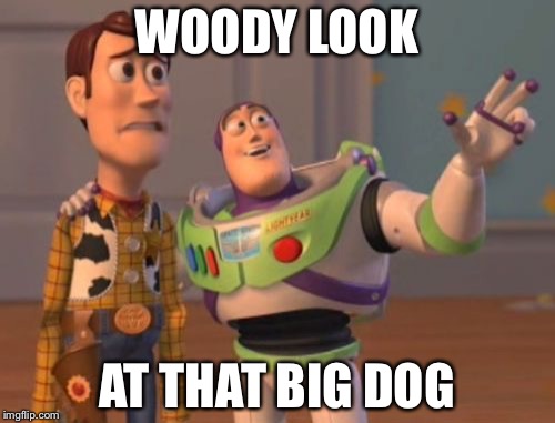 X, X Everywhere | WOODY LOOK; AT THAT BIG DOG | image tagged in memes,x x everywhere | made w/ Imgflip meme maker