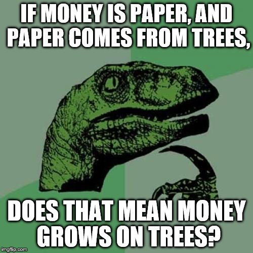 Philosoraptor | IF MONEY IS PAPER, AND PAPER COMES FROM TREES, DOES THAT MEAN MONEY GROWS ON TREES? | image tagged in memes,philosoraptor | made w/ Imgflip meme maker